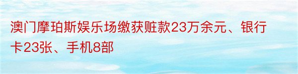 澳门摩珀斯娱乐场缴获赃款23万余元、银行卡23张、手机8部