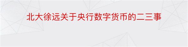 北大徐远关于央行数字货币的二三事